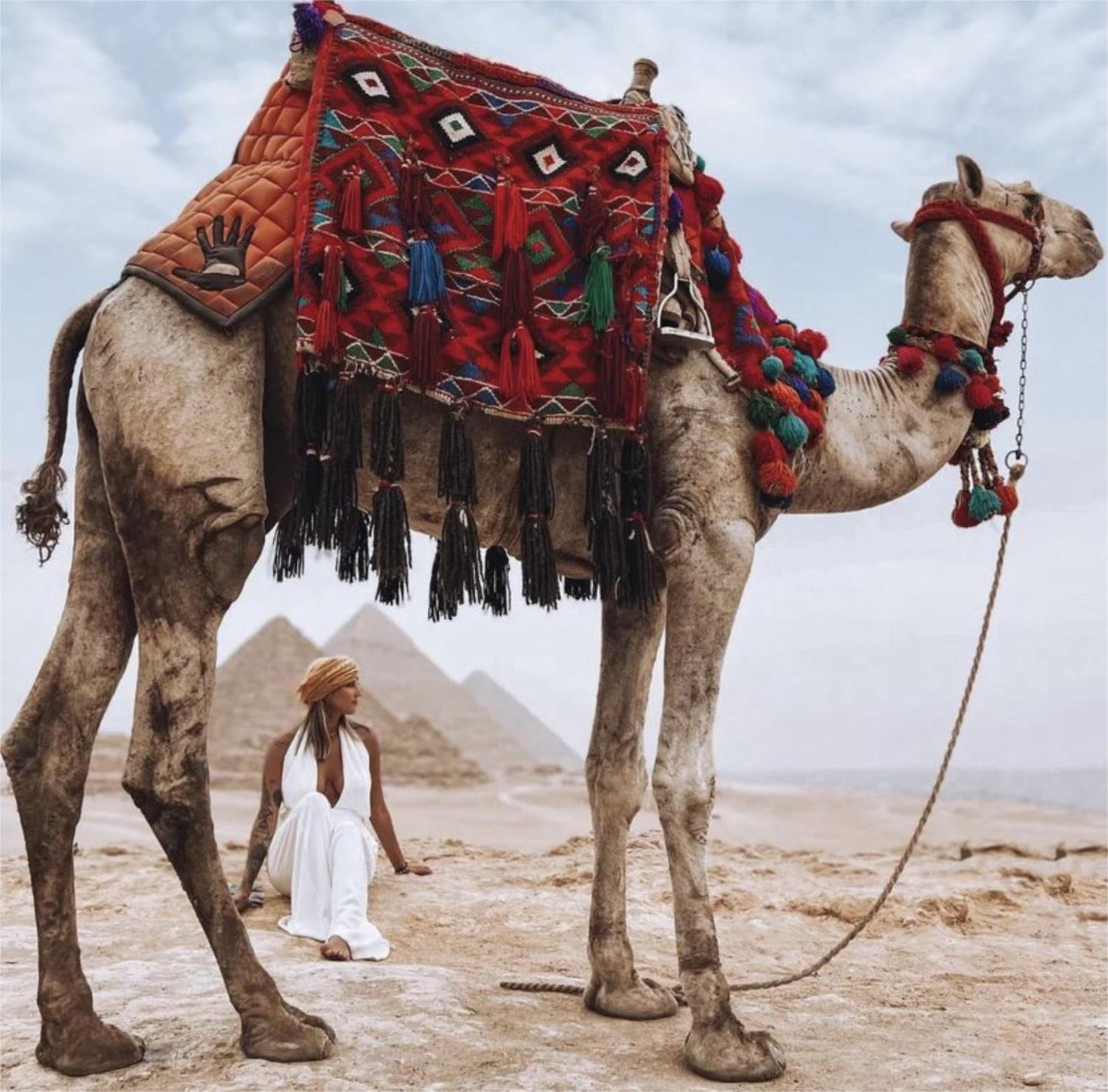 Pyramids Plateau View Bed & Breakfast Cairo